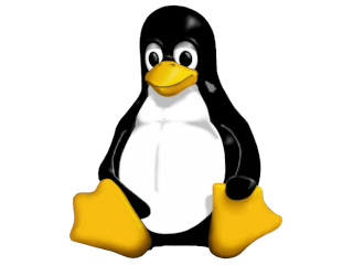 Ubuntu - Obtener espacio que ocupa un directorio en disco